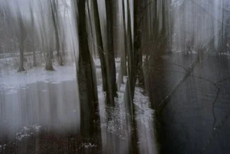 Fotokunst von Sascha Hoffmann-Wacker: ruhiger Winterwald mit schneebedeckten Bäumen
