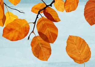 Katherine Blower, Autumn Leaves