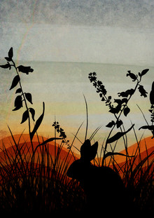 Katherine Blower, Evening sky