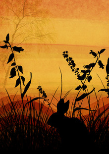 Katherine Blower, Orange Skies