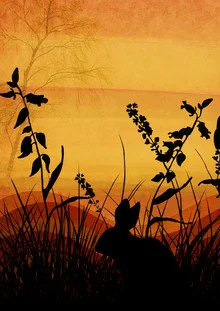 Illustration von Katherine Blower: ein Kaninchen unter orangefarbenem Himmel