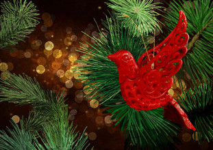 Katherine Blower, Festive Dove