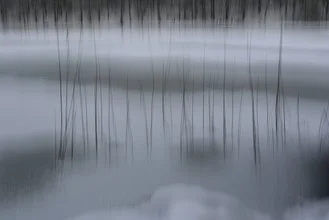 Fotokunst von Sascha Hoffmann-Wacker: Schilf am winterlichen See mit sanften Spiegelungen.