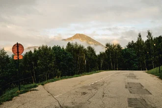 Fotokunst von Franziska Söhner: ruhige Straße im Nebel durch den Wald in Frankreich.