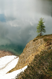 Franziska Söhner, Tree, Italy (2018) (Italien, Europa)