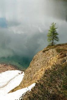 Photo art: Lonely tree by a calm lake in Italy, surrounded by clouds.