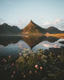 Photo art by Philipp Heigel: warm welcome with mountains and flowers at dawn