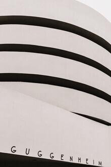 Markus Braumann, Guggenheim (Vereinigte Staaten, Nordamerika)
