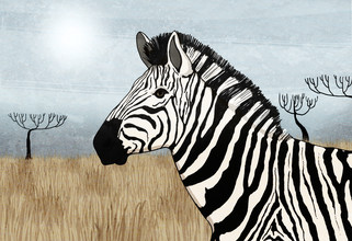 Katherine Blower, Zebra