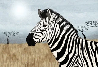 Illustration of a zebra by Katherine Blower in soft colors and calm composition