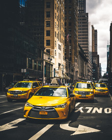 Dimitri Luft, Taxi Squad (United States, North America)