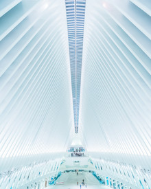 Dimitri Luft, Oculus NYC (United States, North America)