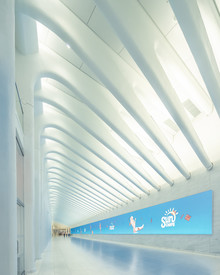 Dimitri Luft, Oculus Station (United States, North America)