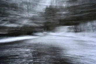 Waldweg im Winter mit schneebedeckten Bäumen und einem sanften Farbenspiel.