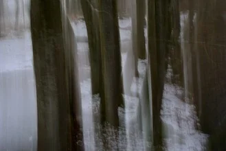 Photo art by Sascha Hoffmann-Wacker: winter forest with snow-covered trees