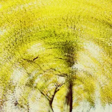 Abstract depiction of an autumn tree with intense colors and glowing forms.