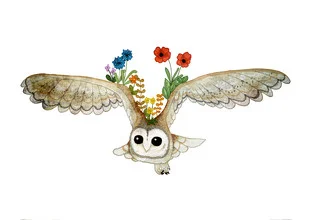 Illustration of a barn owl spirit guide, gentle colors and natural elements.