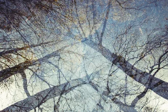 Photo art by Nadja Jacke: soft autumn colors in the sky with trees