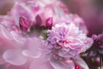 Photo art by Nadja Jacke: Double exposure with glowing dahlia flowers