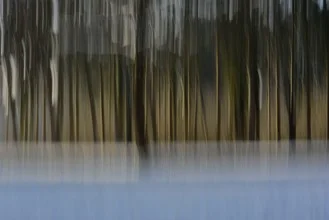 Fotokunst von Sascha Hoffmann-Wacker: bunte Bäume im Sonnenlicht