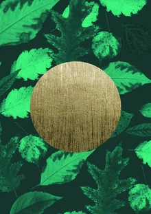 Wall art featuring a golden moon globe and green leaves in a whimsical setting.