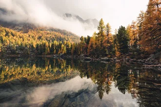 Color explosion at Lago di Saoseo with vibrant larches and calm water