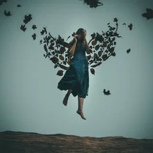 Photo art by Rova Fineart - Simone Betz: autumn leaves gently flying