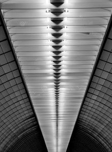 Michael Schaidler, lights on