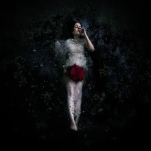 Photo art by Rova Fineart - Simone Betz: delicate portrayal of a woman with hibiscus flowers