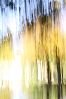 Steffi Louis, autumn abstract #12 (Germany, Europe)