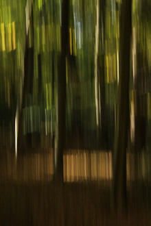 Steffi Louis, autumn abstract #1o (Germany, Europe)