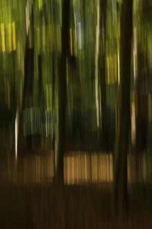 Abstract autumn image featuring soft color transitions and blurred leaves.