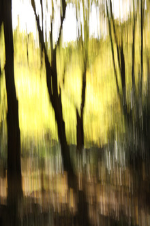 Steffi Louis, autumn abstract #07 (Germany, Europe)