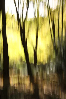 Photo art by Steffi Louis: abstract autumn landscape with colorful foliage