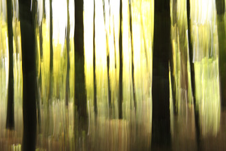 Steffi Louis, autumn abstract #o5 - Deutschland, Europa)