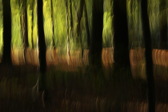 Steffi Louis, autumn abstract #o4 (Germany, Europe)