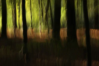 Abstract photo art featuring autumn colors and movements in the forest