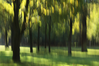 Steffi Louis, autumn abstract #o2 - Deutschland, Europa)