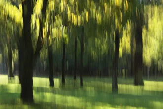 Abstract photo art by Steffi Louis: gentle movements in autumn greens