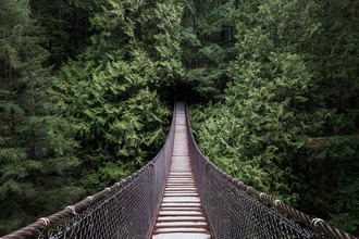 Beautiful forest scene featuring a suspension bridge in Lynn Canyon, Canada.