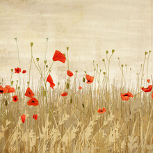 Katherine Blower, Poppyfield
