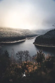 Calm winter evening with fog over a forest and gentle hills.