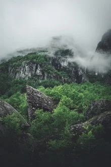 Calming photo art of a green paradise in Norway