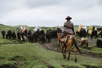Photo art: Yak herder in the picturesque landscape of Sichuan, China.