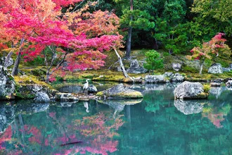 Photo art by Victoria Knobloch: serene Japanese garden in autumn with colorful leaves.