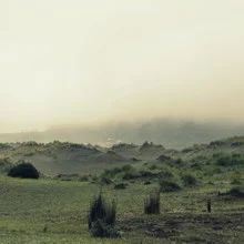 Tranquil dune landscape in fog, soft colors and serene atmosphere