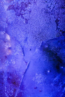 Sebastian Worm, Purple