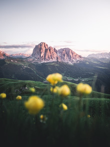 Roman Huber, Alpenglow in Val Gardena (Italy, Europe)
