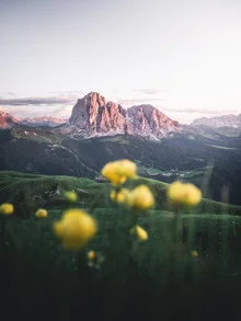 Photo art by Roman Huber: gentle alpenglow over the Dolomites in spring
