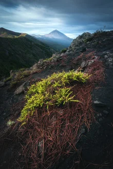 Photo art by Jean Claude Castor: gentle sunrise over Teide in Tenerife.